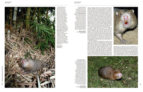 Handbook of the Mammals of the World no 7 - Rodents II -  Lynx 2017